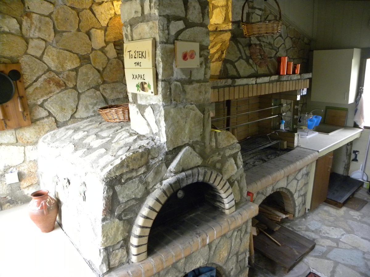 Mountain Chalet Livadi Arachova Extérieur photo