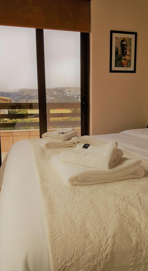 Mountain Chalet Livadi Arachova Extérieur photo