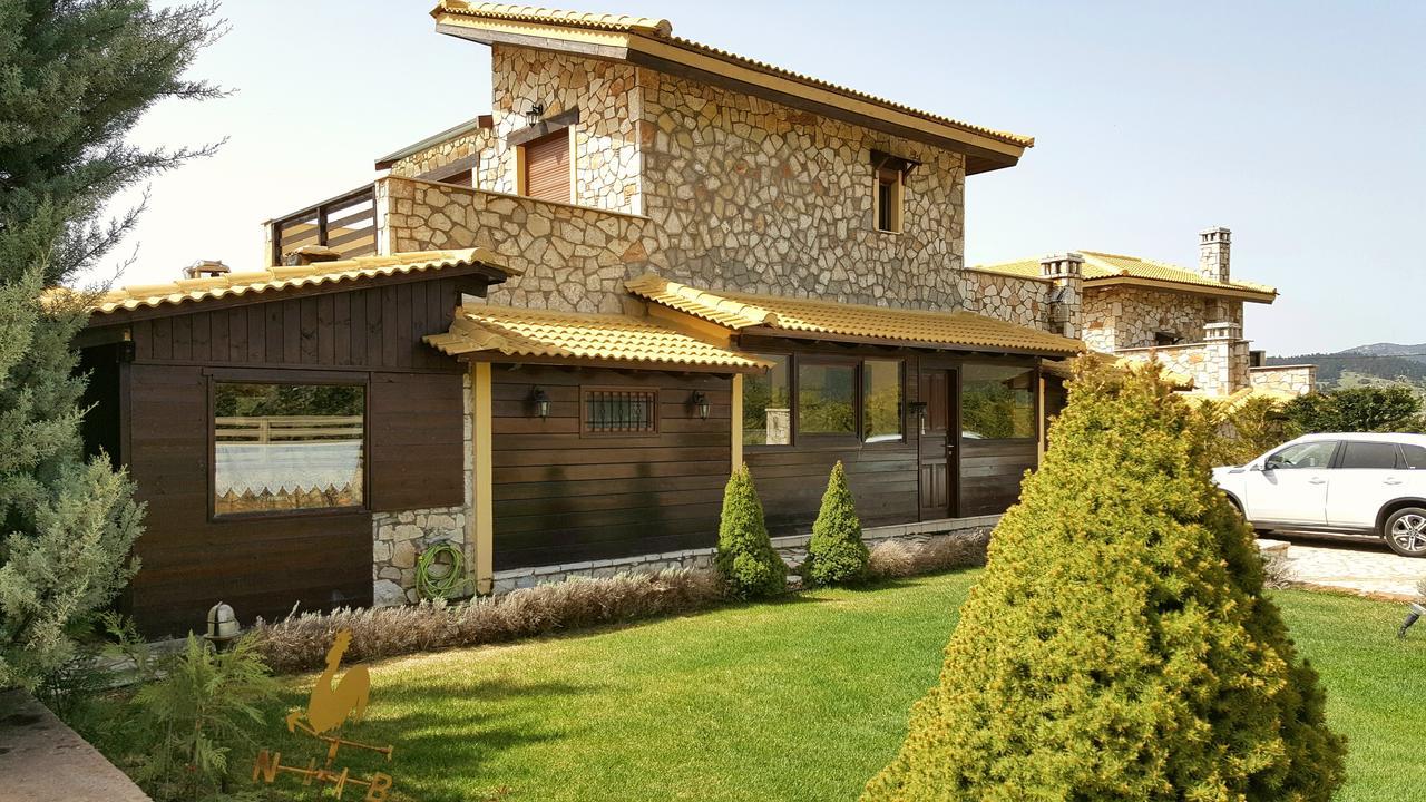 Mountain Chalet Livadi Arachova Extérieur photo