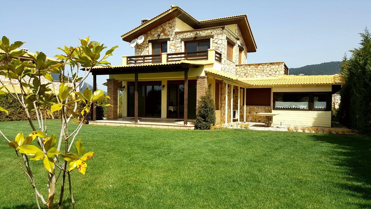 Mountain Chalet Livadi Arachova Extérieur photo